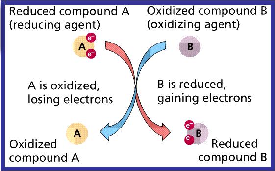 Oxidizing And Reducing Agents Chart