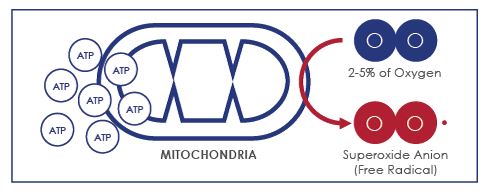 Водород 7 группа. Molecular hydrogen Institute logo.